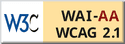 Web Content Accessibility Guidelines (WCAG) 2.1 at Level AA